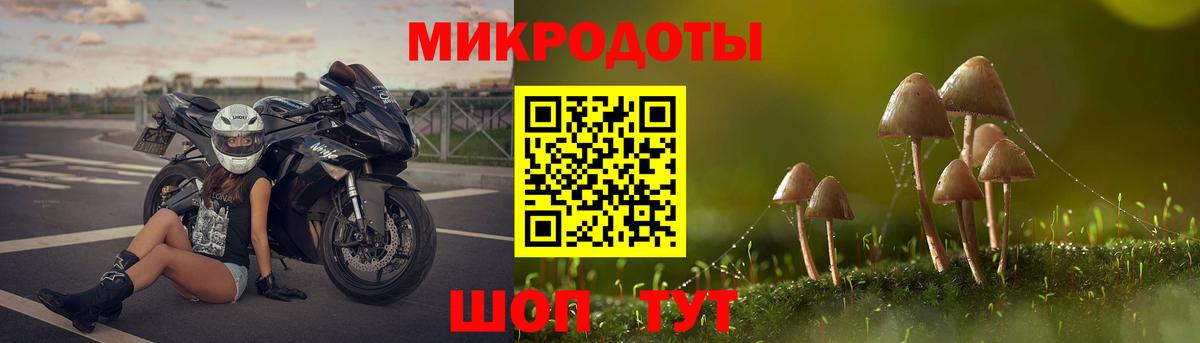Псилоцибиновые грибы Cubensis  что такое наркотик  Мценск  Вход с VPN  Псилоцибиновые грибы ЛСД 